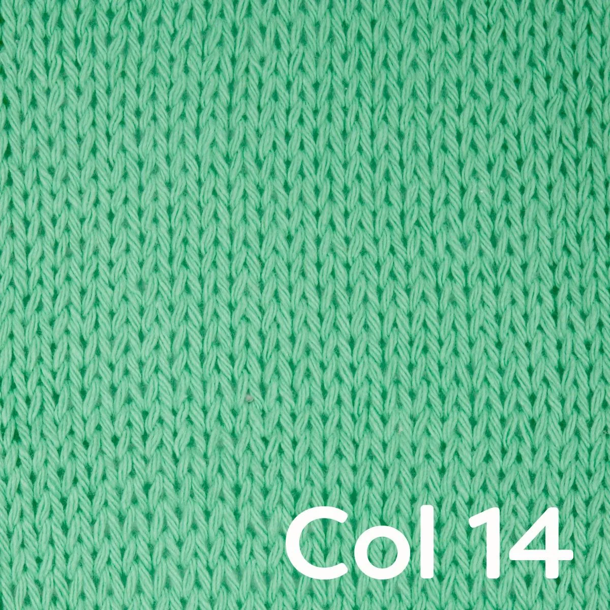 Thumbnail 15