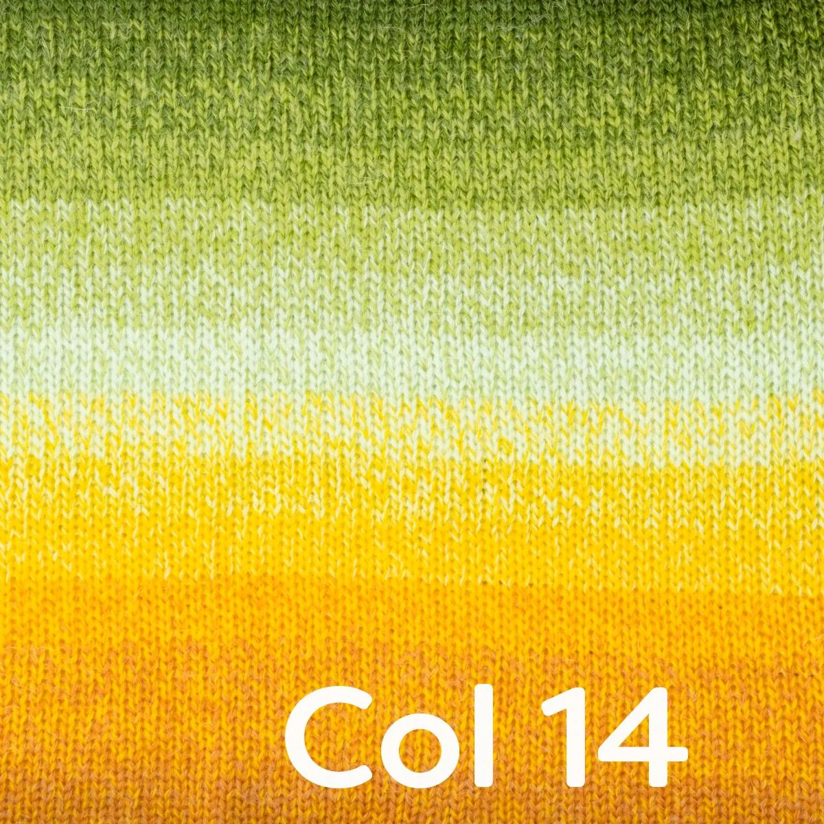 Thumbnail 16