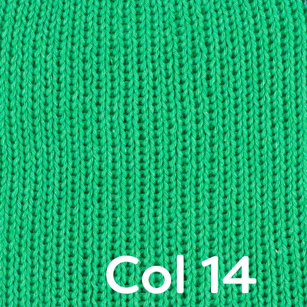 Thumbnail 17