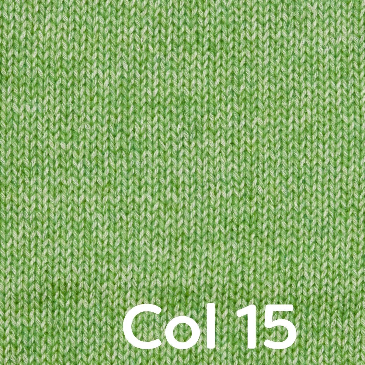 Thumbnail 15