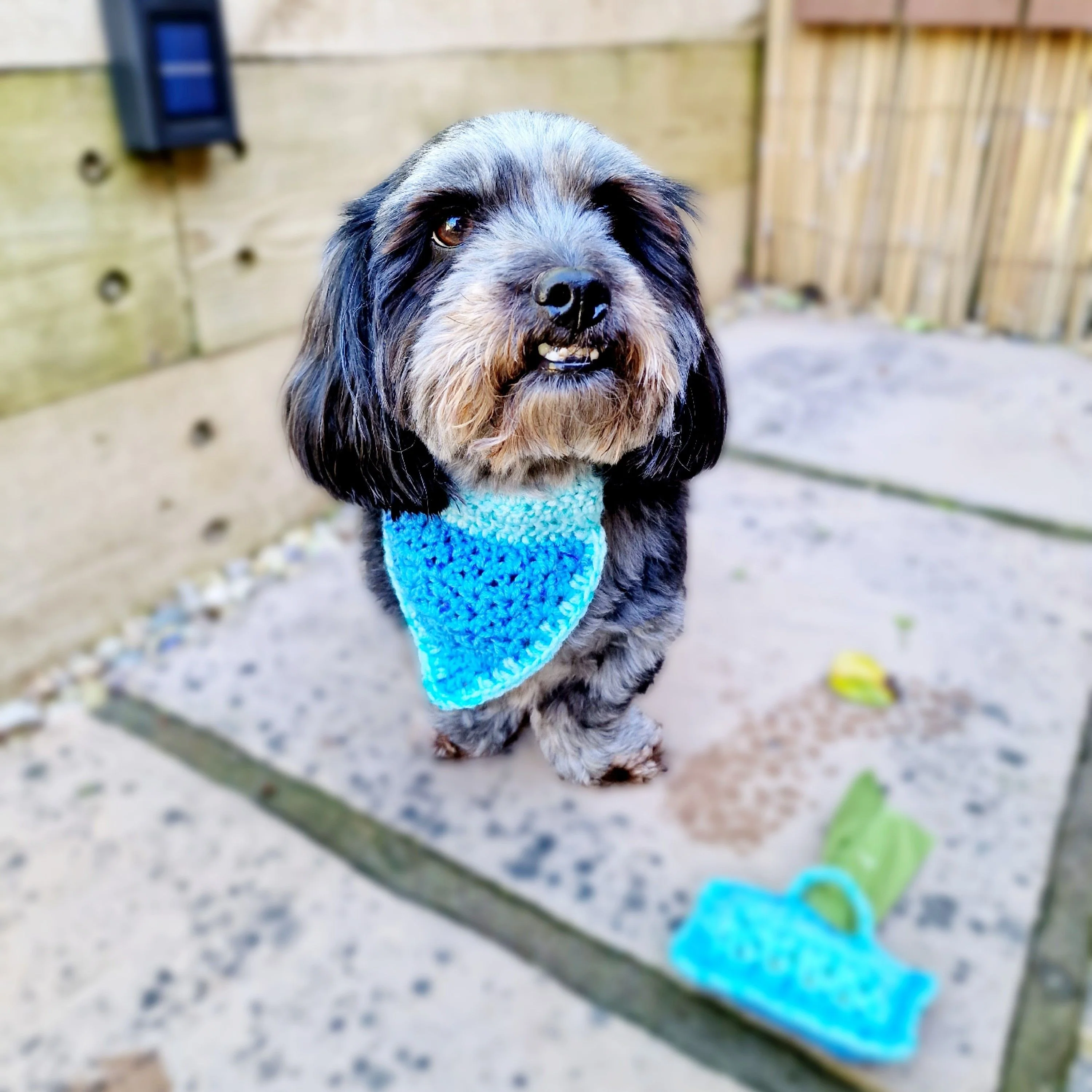 Thumbnail 5